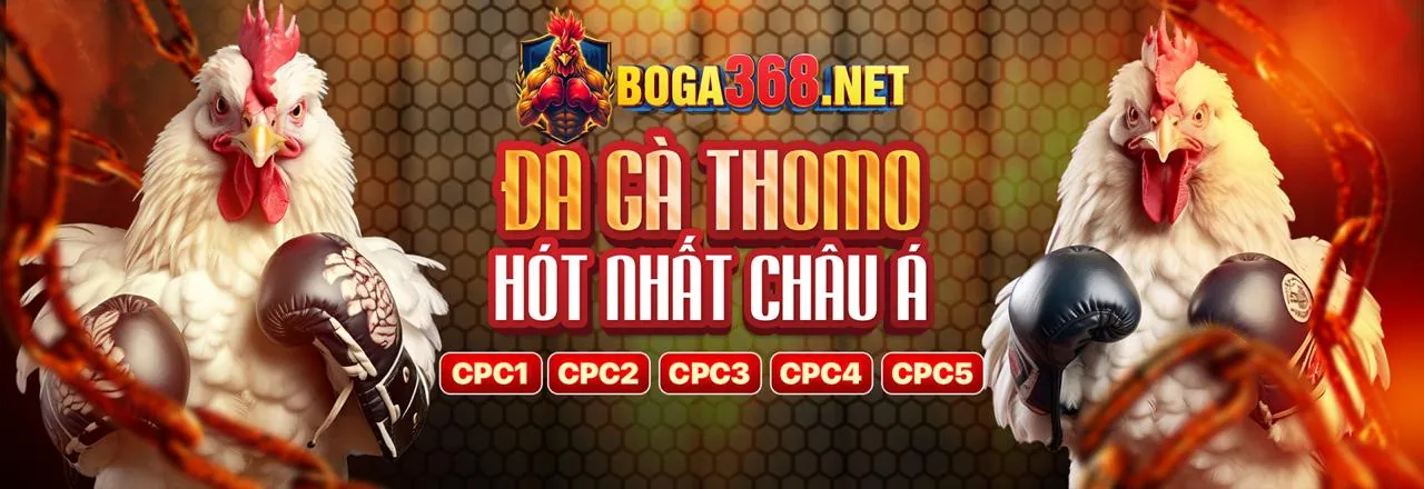 Chính sách chơi có trách nhiệm tại trang bong88