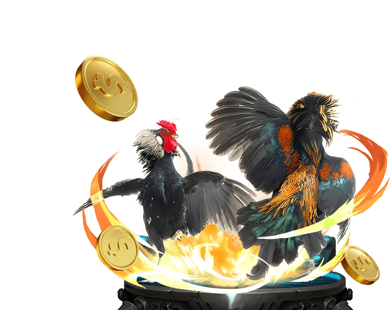 Sòng bạc trực tiếp Bong88